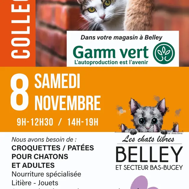 Collecte de nourriture et objets pour chatons et chats_Belley
