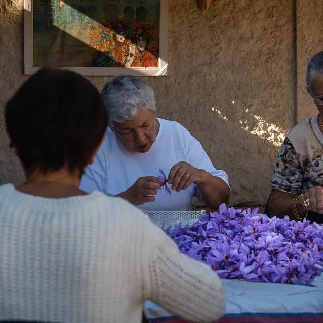 La Safranière du Mirandolier - Tourves