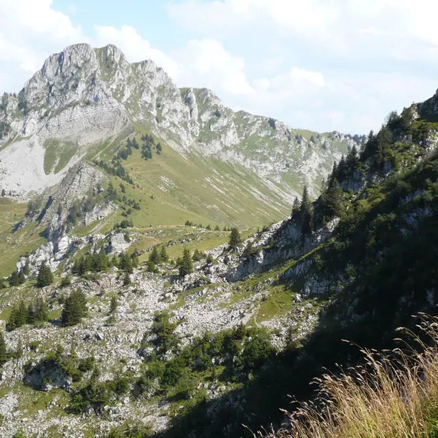 Pointe de Chavasse