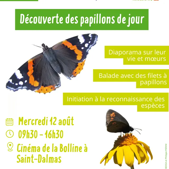 Découverte des papillons_Valdeblore