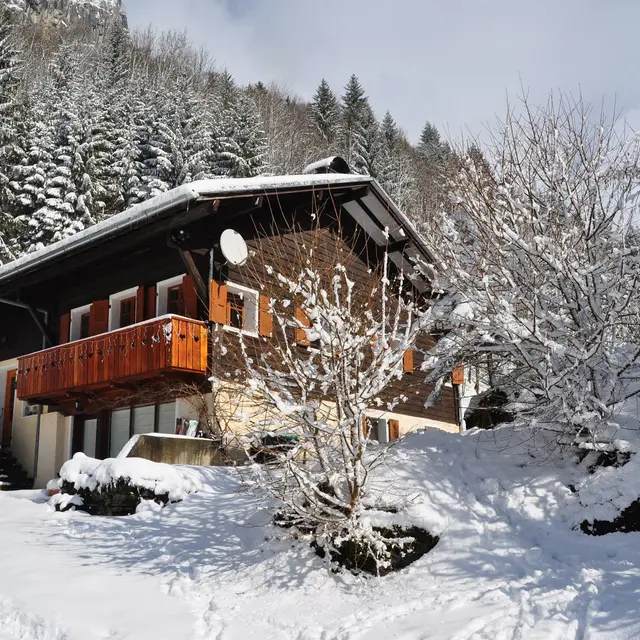 Sixt Alpine Chalet