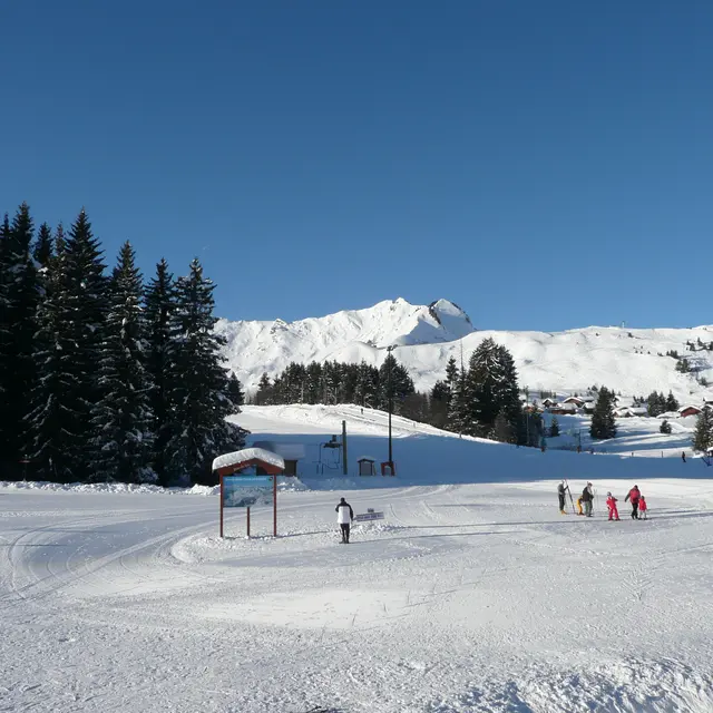 Chalune - 32 m² - n°618