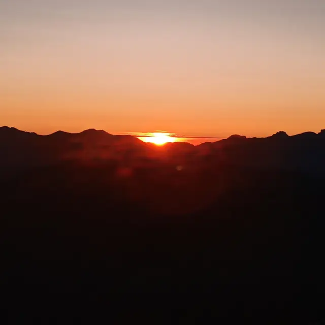Sunset et chamois