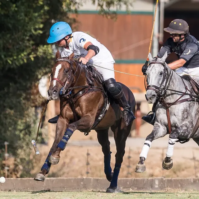 Tournoi de polo - Women polo series_Gassin