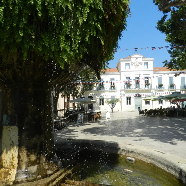 Fontaine moussue