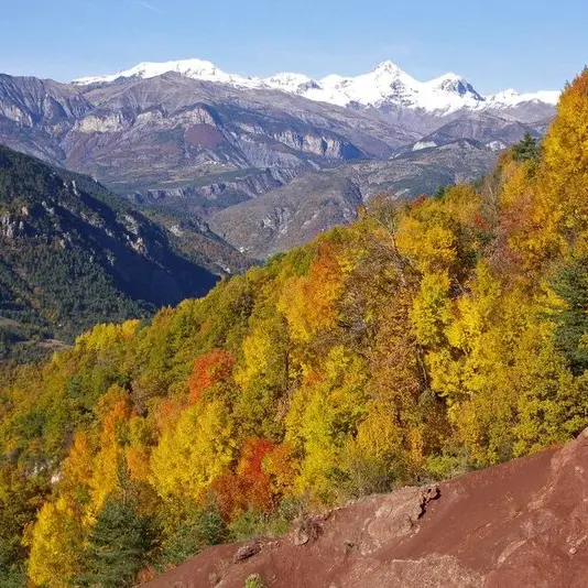 Commune de Guillaumes, hameau de Amen, couleur d'automne pour les arbres feuillus et le rouge des gorges de Daluis.