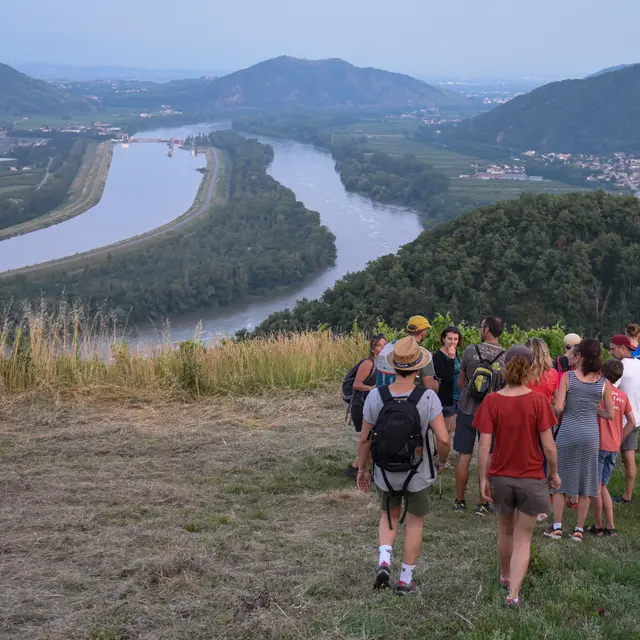 Les Terrasses - Sarras