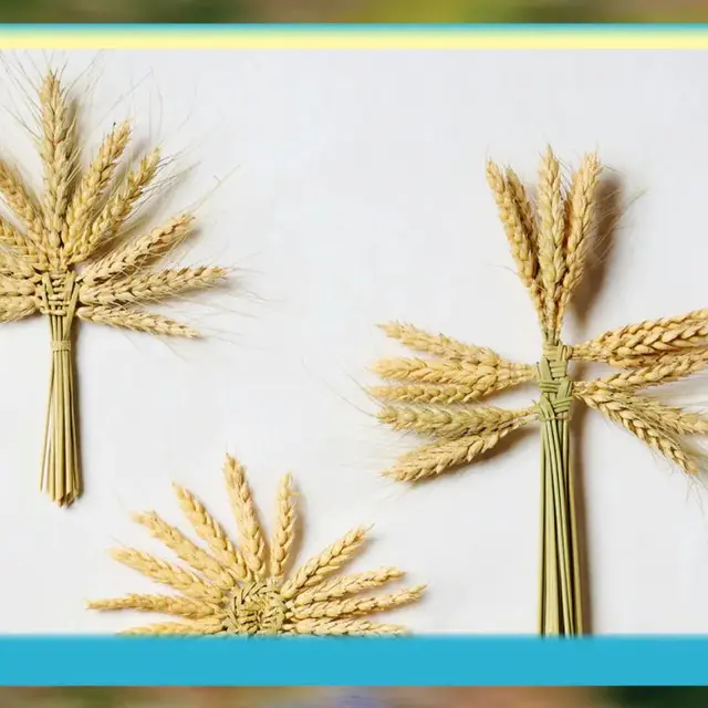 Plein air ! Edition 2026_Marseille