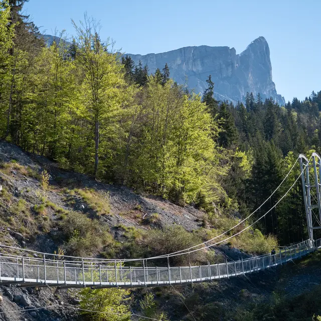 Balade du Plateau d'Assy au Lac Vert par la passerelle du Nant Bordon_Passy