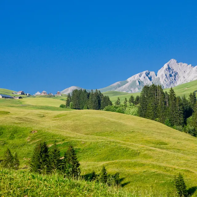 Col des Annes