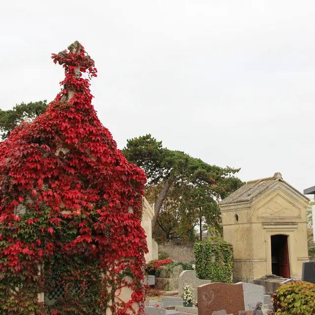 Cimetière de l'est - Angers