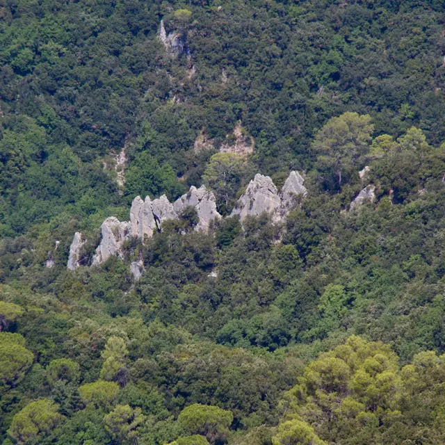 Randonnée à Méounes les Montrieux (Les Charbonniers)_Rayol-Canadel-sur-Mer