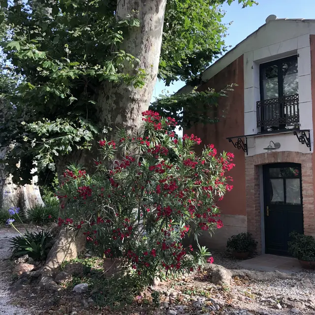 Chambres d'hôtes Le Bourguet_Solliès-Pont