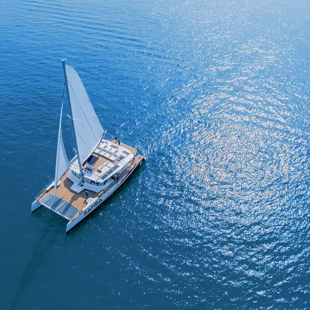 AMC CAPE GRACE