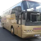 13T4002464_1_WEB.jpg
