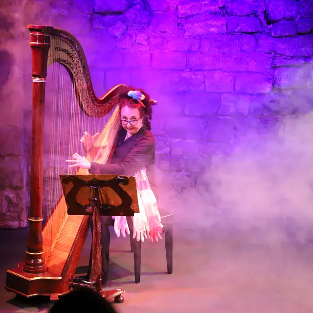 Humour musical - Sophie la harpiste_La Valette-du-Var