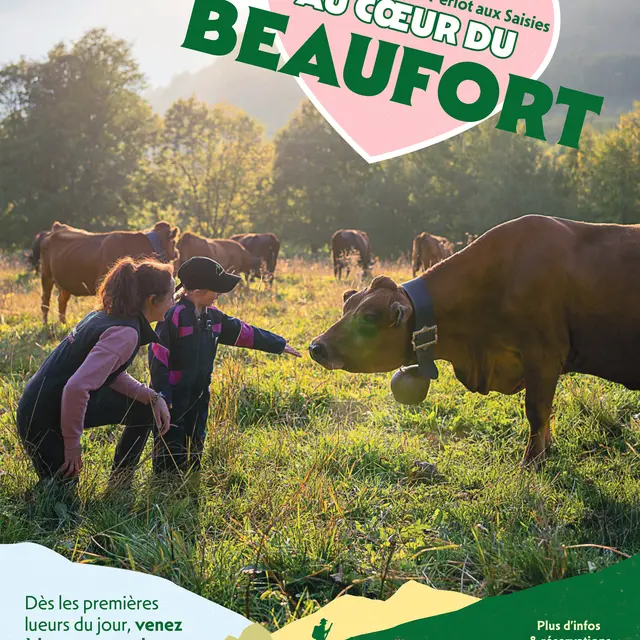 Au coeur du beaufort - Alpage de plan périot_Les Saisies