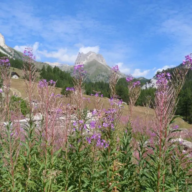 Vallée Étroite - Site Natura 2000