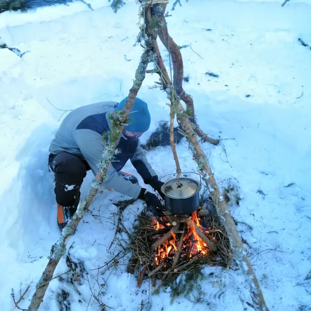 survie hiver
