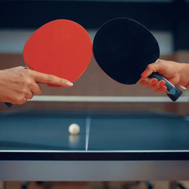Activité ping pong