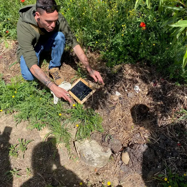 Balade atelier : autour des plantes sauvages_Caumont-sur-Durance
