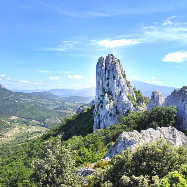 Au coeur des Dentelles de Montmirail_Orange