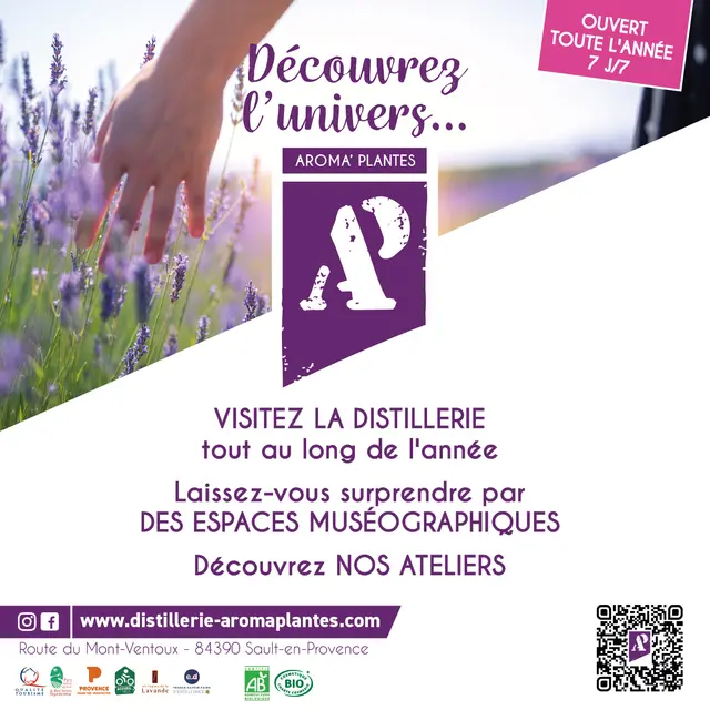 Distillerie Aroma'Plantes_Sault