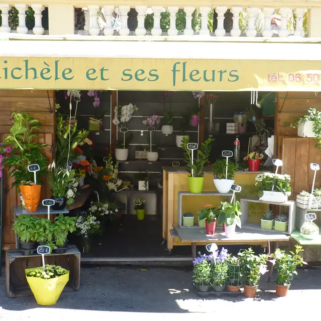 Michèle et ses fleurs