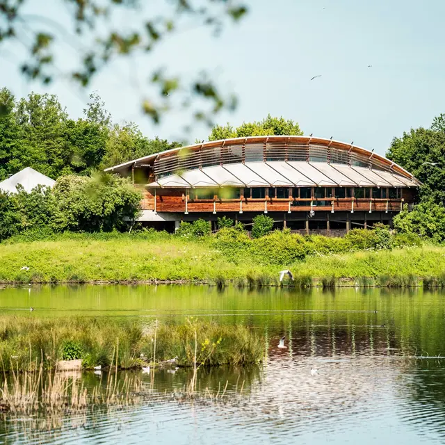 Fête du sol vivant - Haute saison Écopôle du Forez_Chambéon