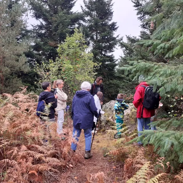 Balade contée des mégalithes - animation famille_Usson-en-Forez