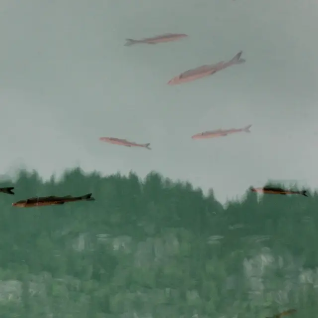 Photographies_Le Chambon-sur-Lignon