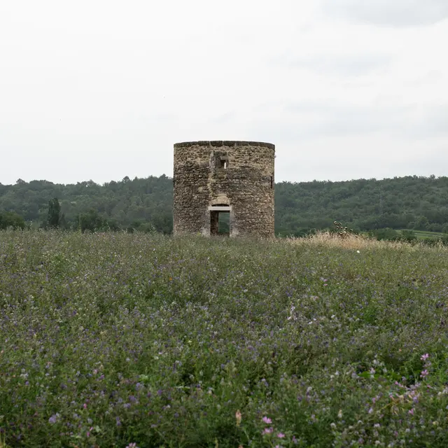 Moulin de St Hippolyte de Caton