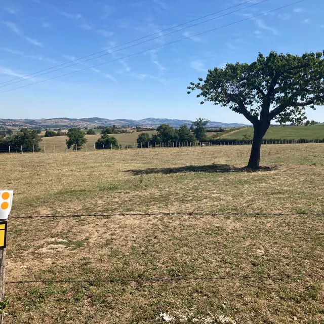 Sentier des pas vaillants_Saint-Médard-en-Forez