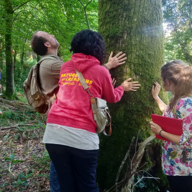 Reconnexion à la nature