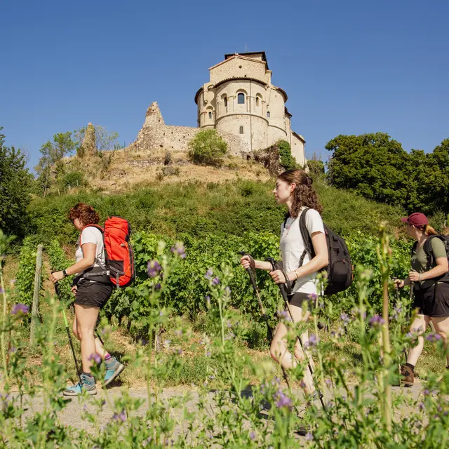 GR® de Pays Côtes du Forez Sud_Saint-Romain-le-Puy