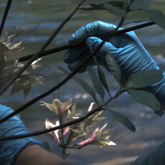 Soirée Astrale #19 Hiver_Aix-en-Provence