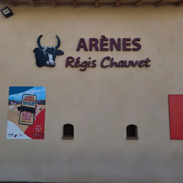 Arènes Régis Chauvet - Noves_Noves