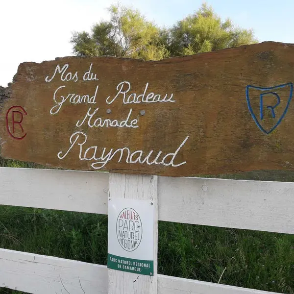 Journées camarguaises à la Manade Raynaud_Saintes-Maries-de-la-Mer