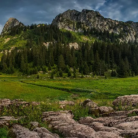 Zone humide de Bise au pied du massif des Cornettes de Bise