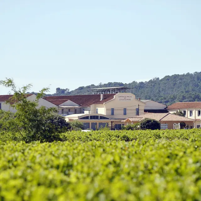 SERIGNAN DU COMTAT TERROIRS