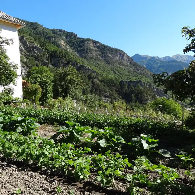 La ferme des Transhumances- Lou Pastrioun_Colmars