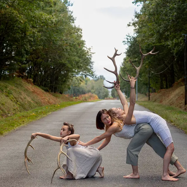 Faune_Meylan