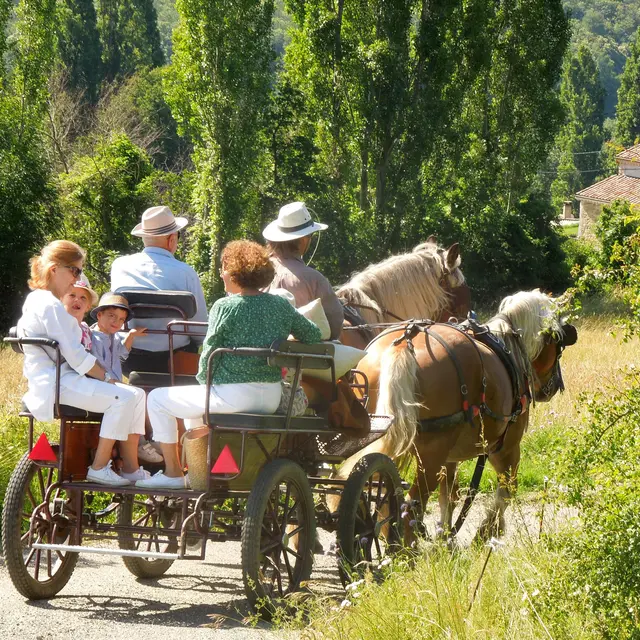 Attelage balades en calèche et vacances en roulotte itinérante