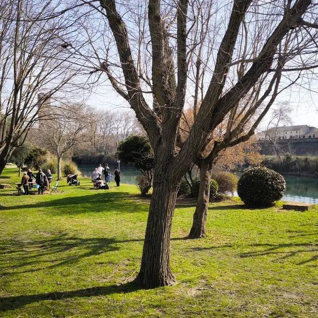 Balade Natura 2000 : à la découverte des lônes_Roquemaure
