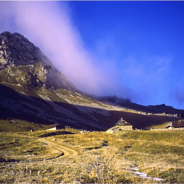Orgeval