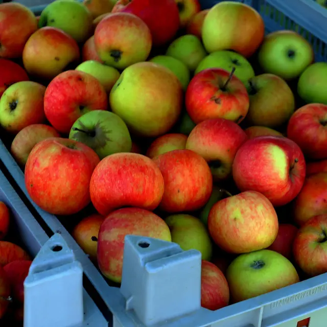 La Ferme de Lydie et Fabrice
