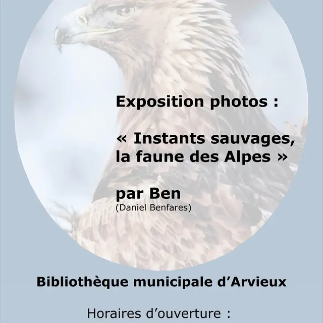 Exposition photos : Instants sauvages, la faune des Alpes_Arvieux