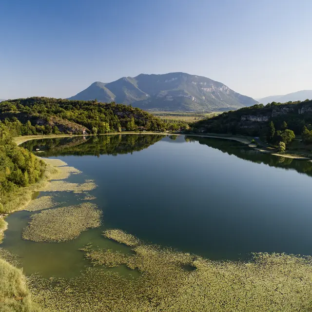 Circuit de randonnée pédestre : Lac et vignobles_Pollieu