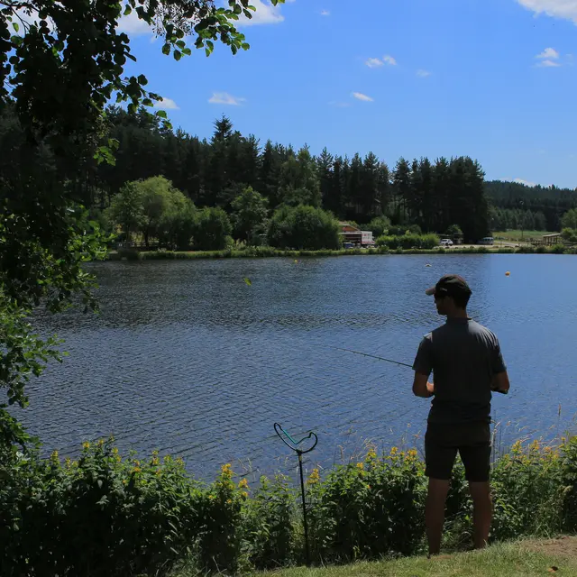 Pêche au coup