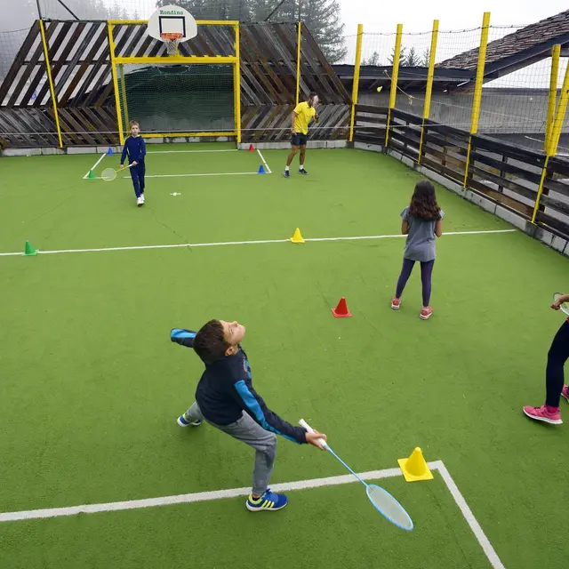 Terrain multisports